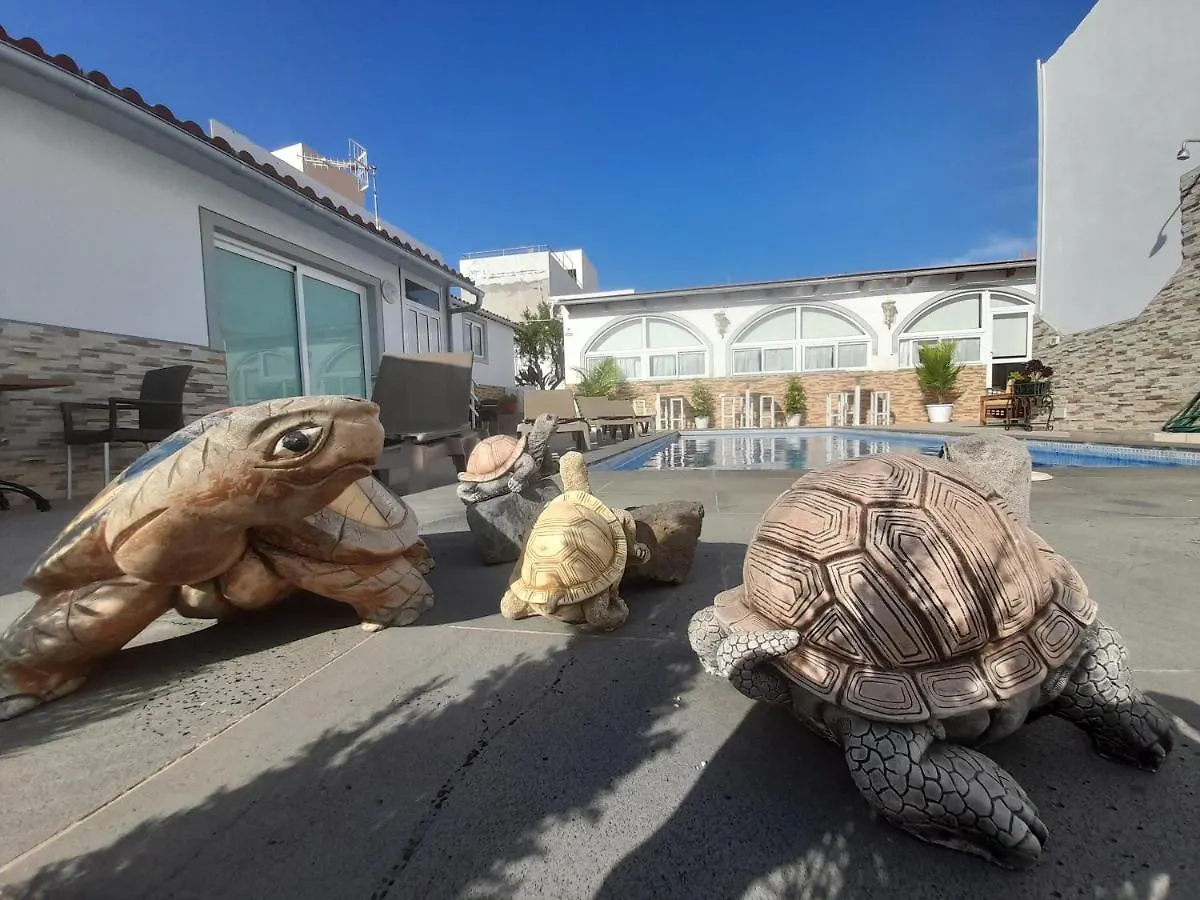 Tenerife Little Village 1D San Isidro